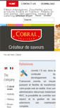 Mobile Screenshot of cobral.fr